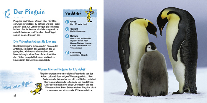 double-page spread of Mein erstes Bildlexikon der Tiere